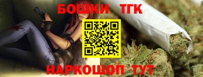 стафф Лесосибирск
