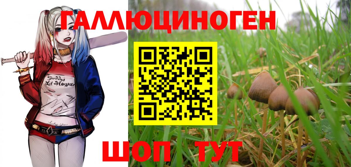 Галлюциногенные грибы прущие грибы  Вход с VPN  Электросталь  Псилоцибиновые грибы Magic Shrooms 